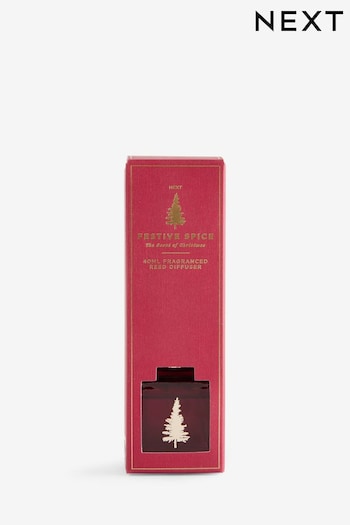 Festive Spice 40ml Fragranced Diffuser (687131) | £6