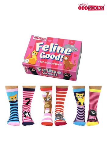 United Odd Socks Multi Stripe Feline Cat Printed Novelty Socks (712869) | £16