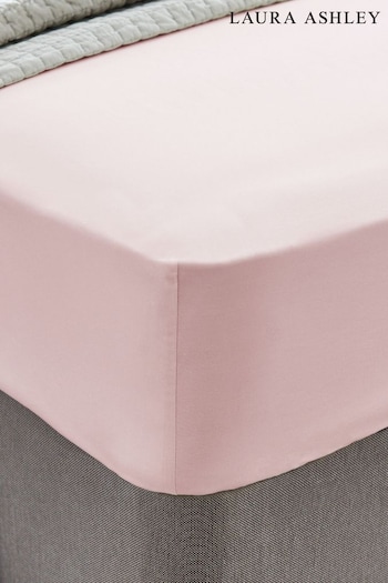 Laura Ashley Blush Pink 200 Thread Count Cotton Fitted Sheet (736228) | £25 - £35