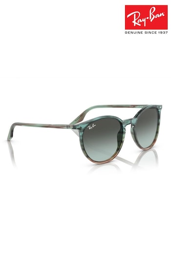 Ray-Ban RB2204 Sunglasses (738730) | £156