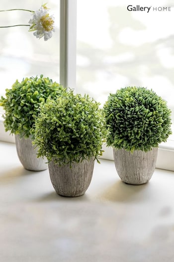 Gallery Home Set of 3 Green Artificial Mixed Topiary (753792) | £24