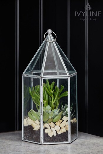 Ivyline Garden Glasshouse Terrarium (755577) | £50