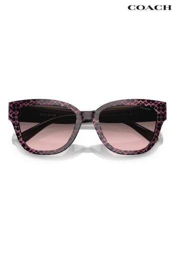 COACH Sandale Pink HC8379U Sunglasses (755653) | £139