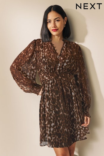 Brown Animal Print Sheer Mini Dress (762662) | £36