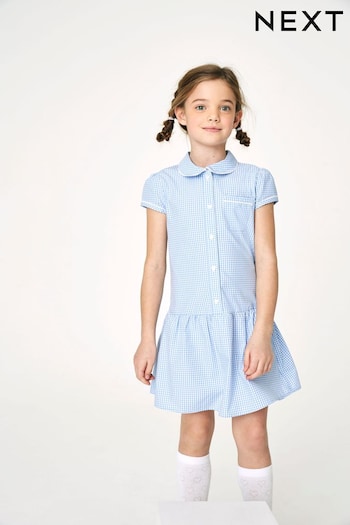 Blue Cotton Rich Drop Waist Gingham School Dress (3-14yrs) (771905) | £7.50 - £10.50