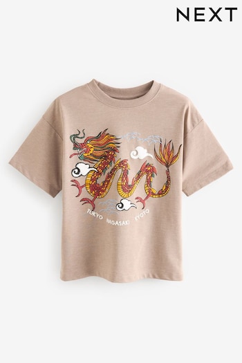 Stone Dragon Relaxed Fit Short Sleeve Graphic T-Shirt (3-16yrs) (781984) | £8 - £11