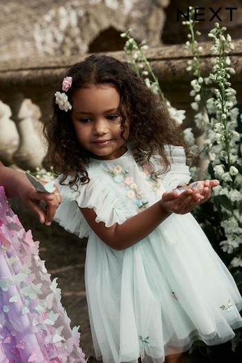 Pale Blue Embroidered Mesh Party Dress (3mths-10yrs) (796437) | £21 - £27