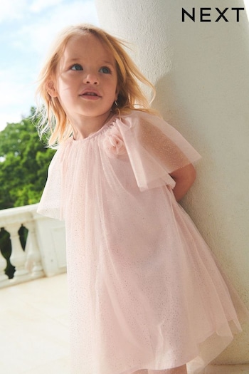 Pale Pink Sparkle Tulle Party Dress (3mths-10yrs) (802360) | £13 - £16