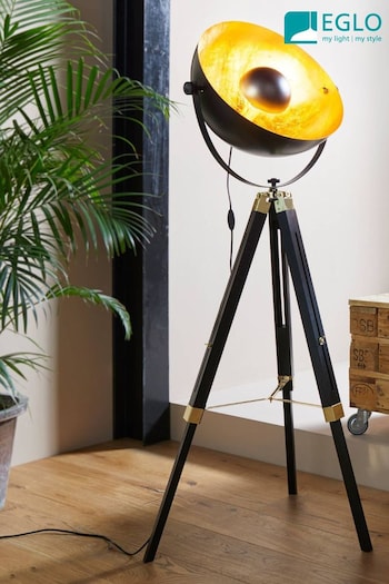 Eglo Black Covaleda Tripod Floor Lamp (811533) | £260
