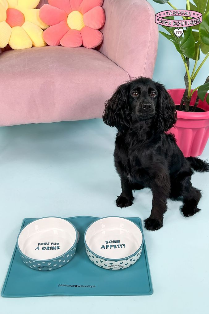 Matching dog bowls sale