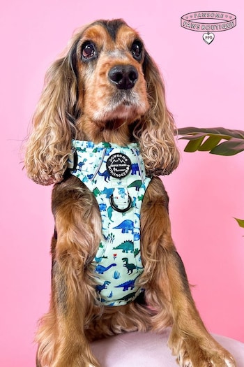 Pawsome Paws Boutique Blue Tough Trails Dog Harness (817869) | £34