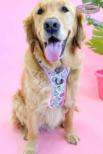 Pawsome Paws Boutique Pink blue Tough Trails Dog Harness (817900) | £34