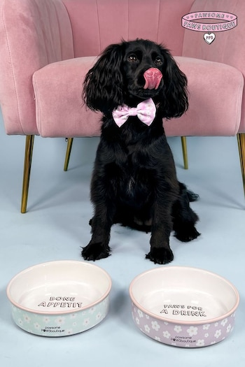 Pawsome Paws Boutique Set of 2 Pink/Blue Ceramic Pet Bowls (817909) | £30