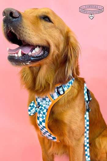 Pawsome Paws Boutique Teal White Tough Trails Dog Harness (818122) | £34