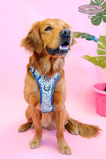 Pawsome Paws Boutique Blue Tough Trails Dog Harness (818127) | £34