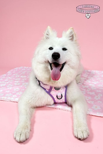 Pawsome Paws Boutique Pale Pink Tough Trails Dog Harness (818133) | £34