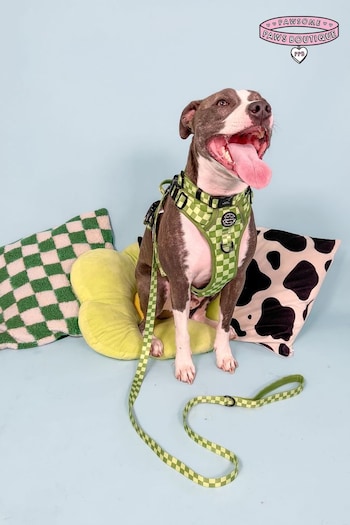 Pawsome Paws Boutique Dark Green Tough Trails Dog Harness (818216) | £34