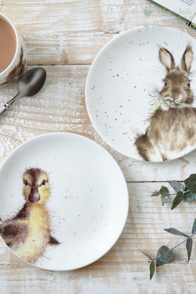 Buy Animal Dinner Plate Dinnerware Tableware Online Next UK