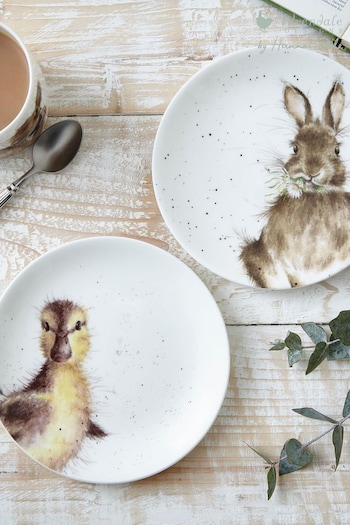 Royal Worcester Wrendale Bunny & Duckling Coupe Plates (823082) | £19