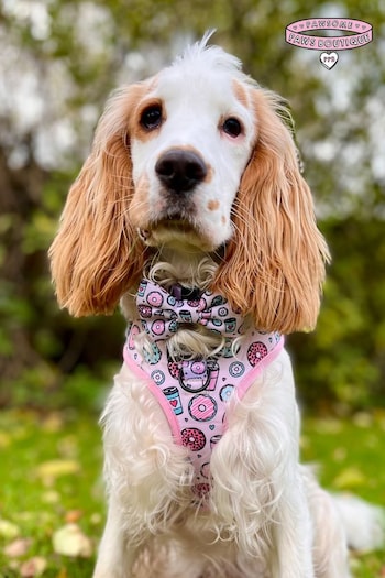Pawsome Paws Boutique Pink Dog Poo Bag Holder And Bow Tie Set (823670) | £16