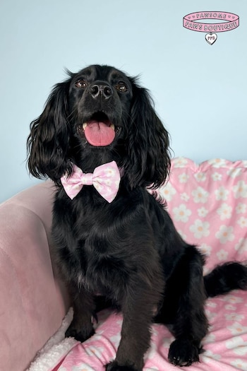 Pawsome Paws Boutique Pink Dog Poo Bag Holder And Bow Tie Set (823672) | £16