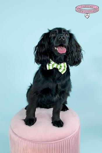 Pawsome Paws Boutique Green Dog Poo Bag Holder And Bow Tie Set (823696) | £16