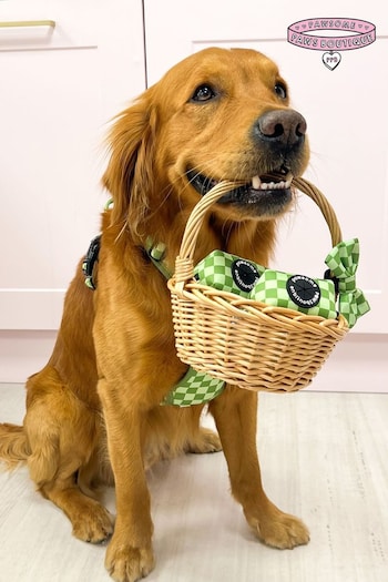 Pawsome Paws Boutique Dark Green Dog Poo Bag Holder And Bow Tie Set (823745) | £16