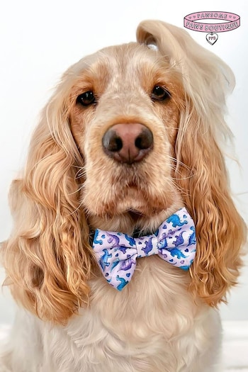 Pawsome Paws Boutique Purple Dog Poo Bag Holder And Bow Tie Set (823758) | £16