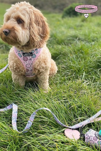 Pawsome Paws Boutique Pink Blue Dog Collar And Lead Set (823813) | £27