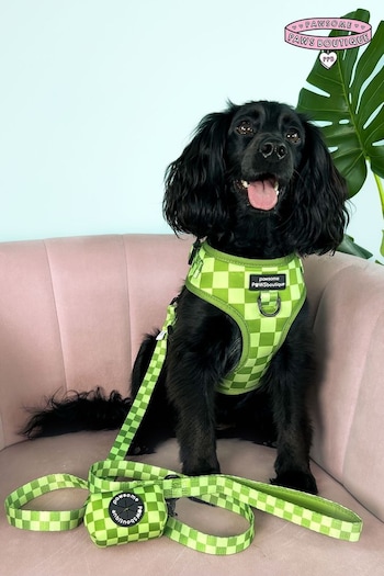 Pawsome Paws Boutique Dark Green Adjustable Dog Harness (823867) | £26