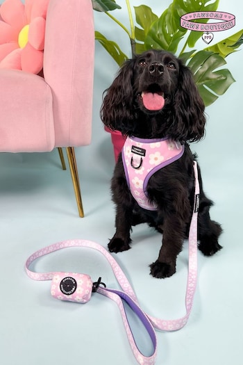 Pawsome Paws Boutique Pink Dog Collar And Lead Set (823975) | £27