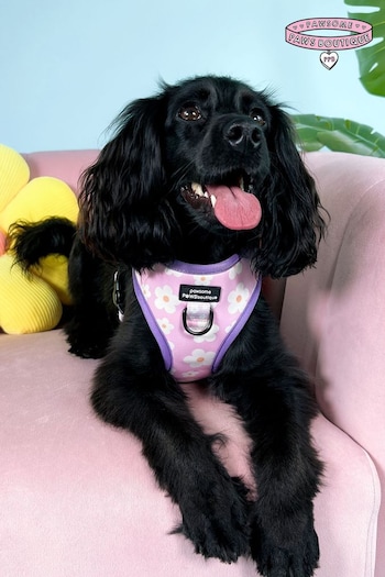 Pawsome Paws Boutique Pale Pink Adjustable Dog Harness (824076) | £26