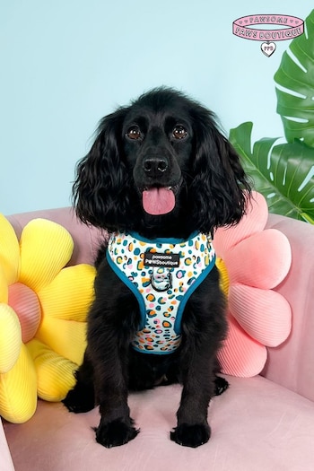 Pawsome Paws Boutique Blue Adjustable Dog Harness (824117) | £26