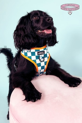 Pawsome Paws Boutique Teal White Adjustable Dog Harness (824119) | £26