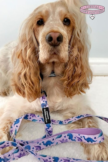 Pawsome Paws Boutique Purple Dog Collar And Lead Set (826357) | £27