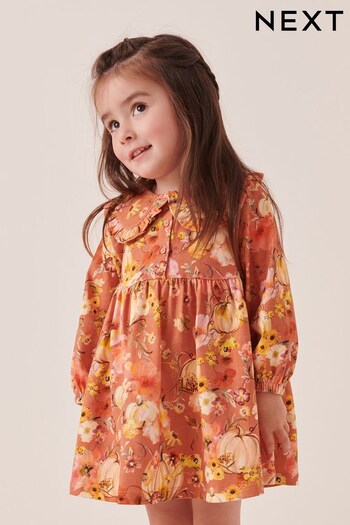 Pumpkin Print Long Sleeve Tea Dress (3mths-7yrs) (842813) | £10 - £12