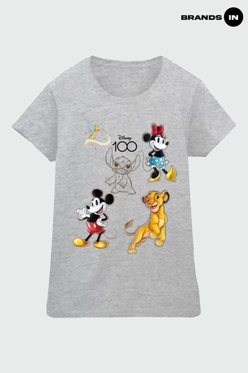 Brands In Grey Disney 100 Character Mix Women Heather Grey T-Shirt (846816) | £23