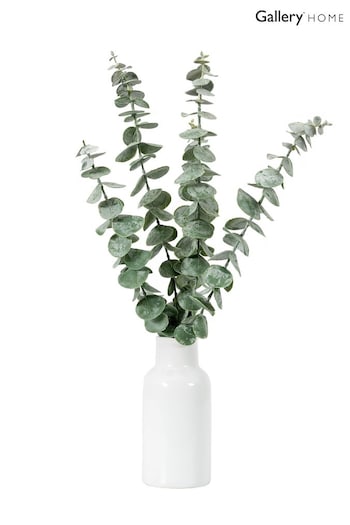 Gallery Home White Vase with Eucalyptus Stems (850525) | £18
