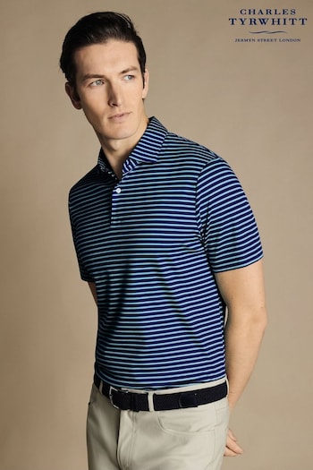 Charles Tyrwhitt Green Stripe Short Sleeve Jersey Polo Shirt (866007) | £60