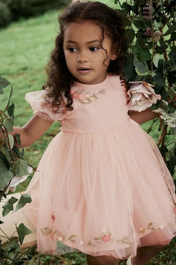 Pink Embroidered Mesh Party Dress (3mths-10yrs) (879470) | £19 - £25