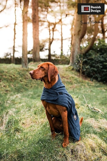 Danish Designs Blue Dog Towelling Robe (880658) | £23 - £52