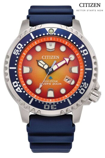 Citizen Gents Blue Citizen Eco-Drive Mens Promaster Diver Dive Watch (880864) | £279