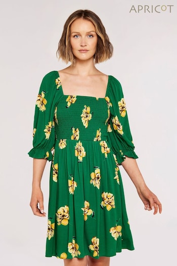 Apricot Green Floral Angel Sleeve Mini Dress (894845) | £35