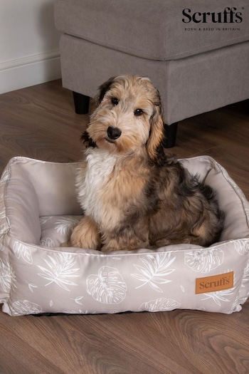 Scruffs Taupe Botanical Small Dog Box Bed (897527) | £40