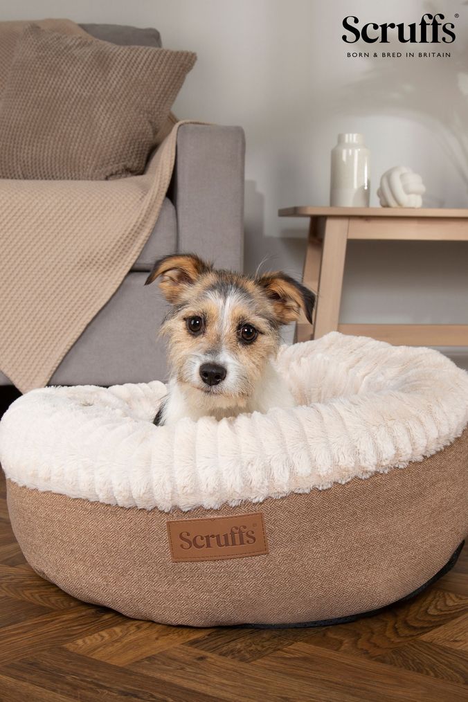 Scruffs lite shorts deals