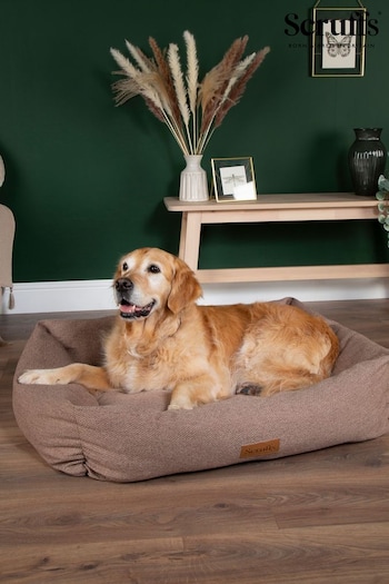 Scruffs Sienna Brown Thermal Dog Box Bed (897943) | £50