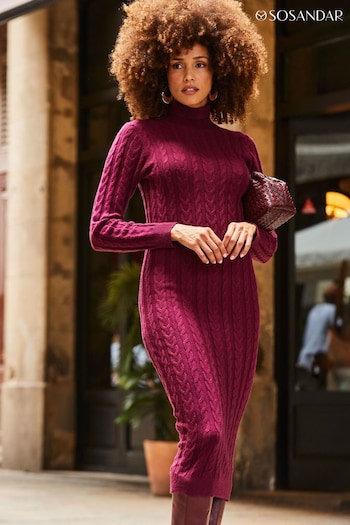 Sosandar Red Fitted Roll Neck Cable Knit Dress (905934) | £75