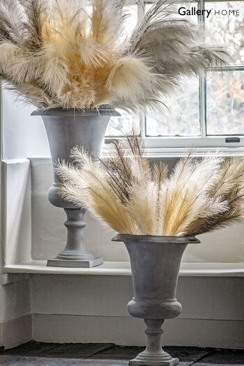 Gallery Home Grey Feathered Stem 3PK L980mm (906344) | £26