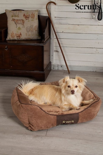 Scruffs Chocolate Chester Dog Box Bed (907392) | £35 - £45