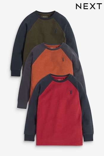 Multi 3 Pack Long Sleeve Raglan T-Shirts (3-16yrs) (921931) | £22 - £33